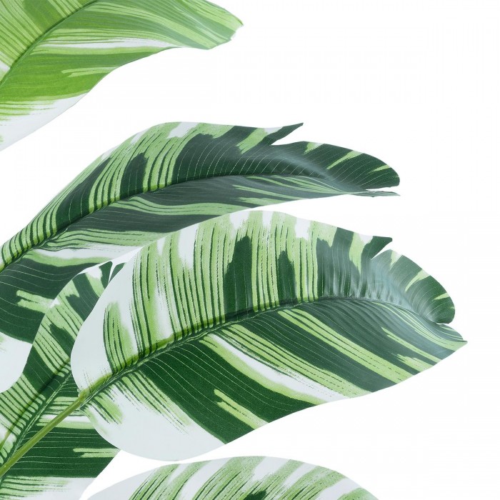 GloboStar® Artificial Garden BANANA ZEBRA 20929 Διακοσμητικό Φυτό Μπανανιά Ζέβρα Υ55cm