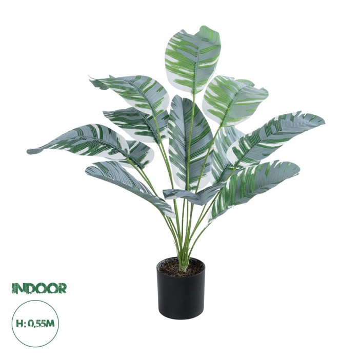 GloboStar® Artificial Garden BANANA ZEBRA 20930 Διακοσμητικό Φυτό Μπανανιά Ζέβρα Υ55cm GloboStar® Artificial Garden BANANA ZEBRA 20930 Διακοσμητικό Φυτό Μπανανιά Ζέβρα Υ55cm