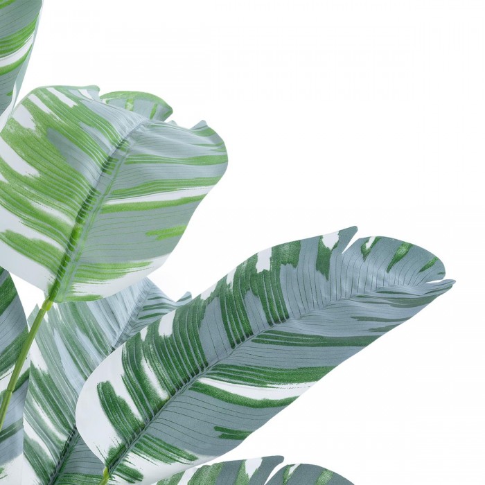 GloboStar® Artificial Garden BANANA ZEBRA 20930 Διακοσμητικό Φυτό Μπανανιά Ζέβρα Υ55cm