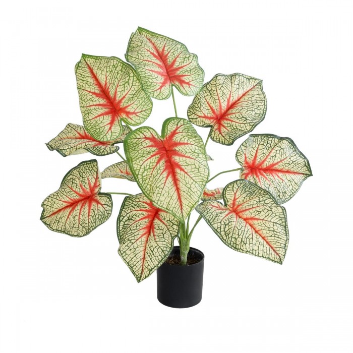 GloboStar® Artificial Garden CALADIUM 20932 Διακοσμητικό Φυτό Καλάντιουμ Υ55cm