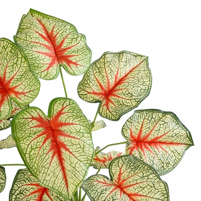 GloboStar® Artificial Garden CALADIUM 20932 Διακοσμητικό Φυτό Καλάντιουμ Υ55cm