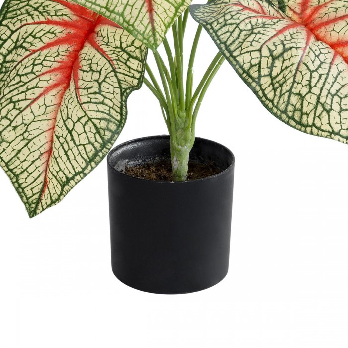 GloboStar® Artificial Garden CALADIUM 20932 Διακοσμητικό Φυτό Καλάντιουμ Υ55cm