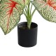 GloboStar® Artificial Garden CALADIUM 20932 Διακοσμητικό Φυτό Καλάντιουμ Υ55cm