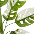 GloboStar® Artificial Garden ALBINO MONSTERA 20938 Τεχνητό Διακοσμητικό Φυτό Πράσινη & Λευκή Μονστέρα Μ90 x Π90 x Υ90cm GloboStar® Artificial Garden ALBINO MONSTERA 20938 Τεχνητό Διακοσμητικό Φυτό Πράσινη & Λευκή Μονστέρα Μ90 x Π90 x Υ90cm