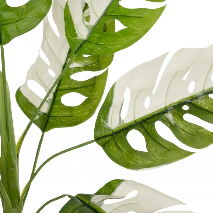 GloboStar® Artificial Garden ALBINO MONSTERA 20938 Τεχνητό Διακοσμητικό Φυτό Πράσινη & Λευκή Μονστέρα Μ90 x Π90 x Υ90cm GloboStar® Artificial Garden ALBINO MONSTERA 20938 Τεχνητό Διακοσμητικό Φυτό Πράσινη & Λευκή Μονστέρα Μ90 x Π90 x Υ90cm