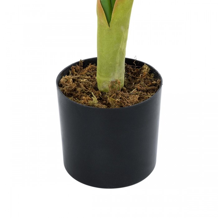 GloboStar® Artificial Garden CALATHEA 20940 Διακοσμητικό Φυτό Καλαθέα Υ90cm