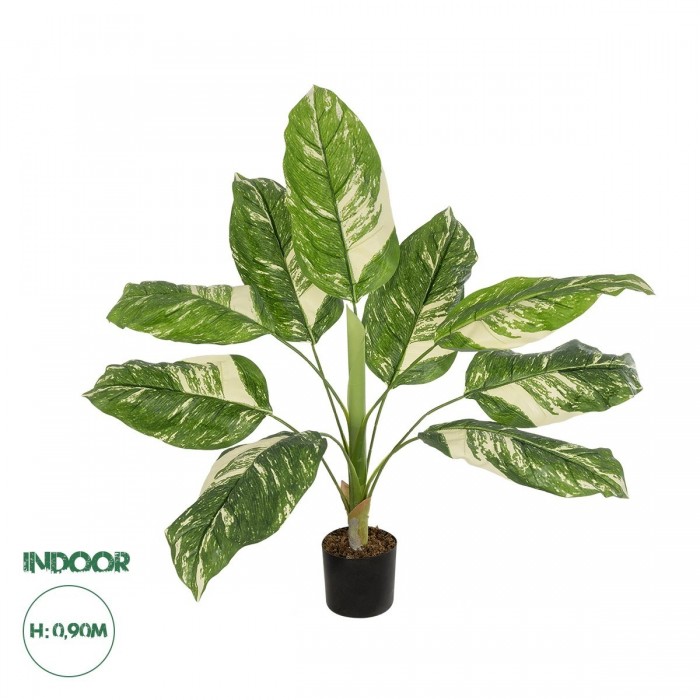 GloboStar® Artificial Garden DIEFFENBACHIA 20941 Τεχνητό Διακοσμητικό Φυτό Πράσινη & Μπεζ Διφενμπάχια Μ80 x Π80 x Υ90cm GloboStar® Artificial Garden DIEFFENBACHIA 20941 Τεχνητό Διακοσμητικό Φυτό Πράσινη & Μπεζ Διφενμπάχια Μ80 x Π80 x Υ90cm
