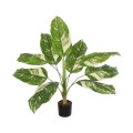 GloboStar® Artificial Garden DIEFFENBACHIA 20941 Τεχνητό Διακοσμητικό Φυτό Πράσινη & Μπεζ Διφενμπάχια Μ80 x Π80 x Υ90cm GloboStar® Artificial Garden DIEFFENBACHIA 20941 Τεχνητό Διακοσμητικό Φυτό Πράσινη & Μπεζ Διφενμπάχια Μ80 x Π80 x Υ90cm