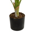 GloboStar® Artificial Garden DIEFFENBACHIA 20941 Τεχνητό Διακοσμητικό Φυτό Πράσινη & Μπεζ Διφενμπάχια Μ80 x Π80 x Υ90cm GloboStar® Artificial Garden DIEFFENBACHIA 20941 Τεχνητό Διακοσμητικό Φυτό Πράσινη & Μπεζ Διφενμπάχια Μ80 x Π80 x Υ90cm