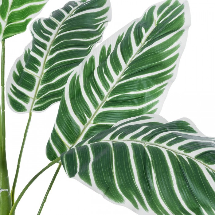 GloboStar® Artificial Garden WHITE ZEBRA 20943 Τεχνητό Διακοσμητικό Φυτό Λευκή Ζέβρα Υ90cm