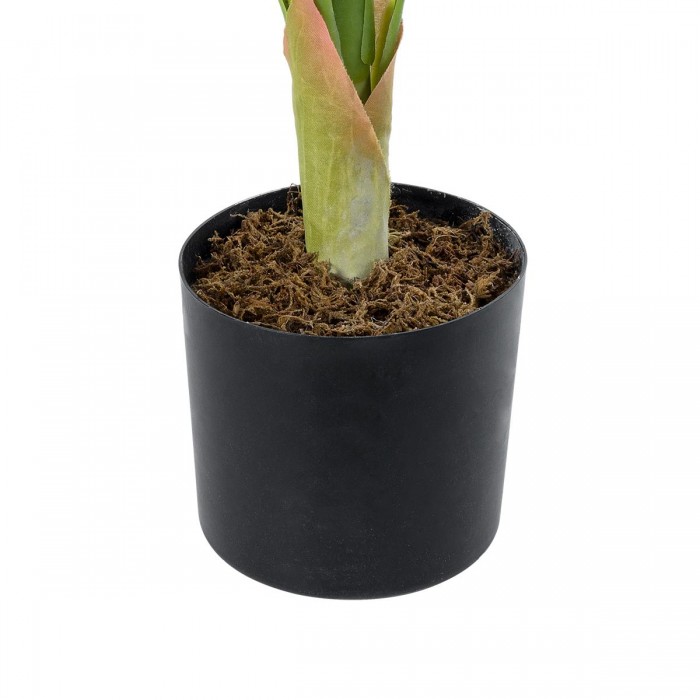 GloboStar® Artificial Garden WHITE ZEBRA 20943 Τεχνητό Διακοσμητικό Φυτό Λευκή Ζέβρα Υ90cm