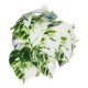 GloboStar® Artificial Garden ALBINO MONSTERA PLANT 20946 Διακοσμητικό Φυτό Μονστέρα Φ23 x Υ16cm
