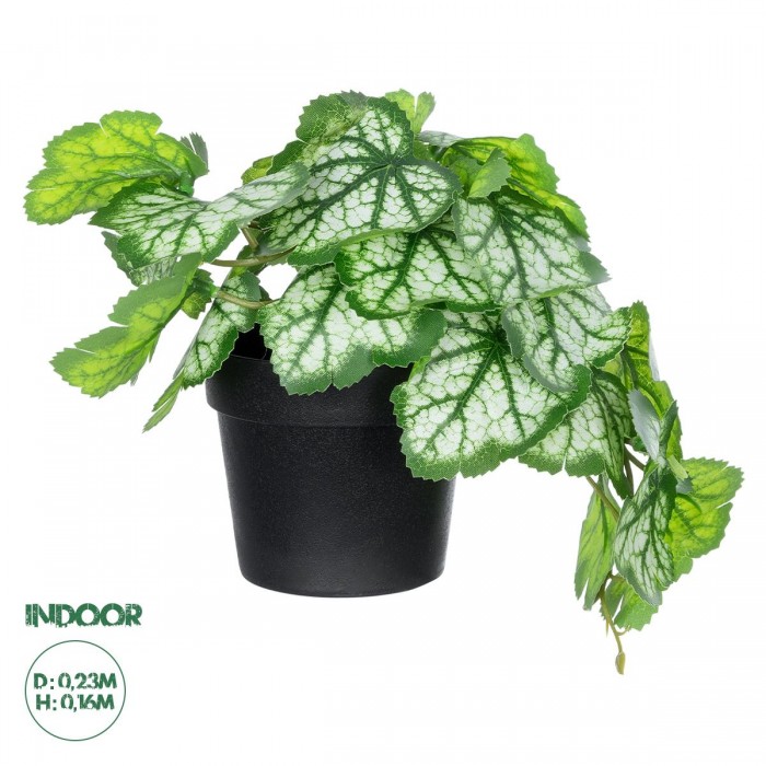 GloboStar® Artificial Garden WHITE BEGONIA PLANT 20947 Διακοσμητικό Φυτό Λευκή Μπιγόνια Φ23 x Υ16cm GloboStar® Artificial Garden WHITE BEGONIA PLANT 20947 Διακοσμητικό Φυτό Λευκή Μπιγόνια Φ23 x Υ16cm
