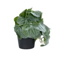 GloboStar® Artificial Garden STRAWBERRY 20950 Διακοσμητικό Φυτό Φραουλιά Υ16cm GloboStar® Artificial Garden STRAWBERRY 20950 Διακοσμητικό Φυτό Φραουλιά Υ16cm
