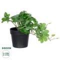 GloboStar® Artificial Garden SCHEFFLERA PLANT 20954 Διακοσμητικό Φυτό Σεφλέρα Φ18 x Υ17cm GloboStar® Artificial Garden SCHEFFLERA PLANT 20954 Διακοσμητικό Φυτό Σεφλέρα Φ18 x Υ17cm