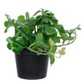 GloboStar® Artificial Garden SCHEFFLERA PLANT 20954 Διακοσμητικό Φυτό Σεφλέρα Φ18 x Υ17cm GloboStar® Artificial Garden SCHEFFLERA PLANT 20954 Διακοσμητικό Φυτό Σεφλέρα Φ18 x Υ17cm