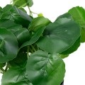 GloboStar® Artificial Garden BELL PLANT 20957 Διακοσμητικό Φυτό Σεφλέρα Φ47 x Υ22cm