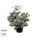 GloboStar® Artificial Garden ZEBRINA PLANT 20961 Διακοσμητικό Φυτό Ζεμπρίνα Φ45 x Υ22cm GloboStar® Artificial Garden ZEBRINA PLANT 20961 Διακοσμητικό Φυτό Ζεμπρίνα Φ45 x Υ22cm