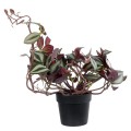 GloboStar® Artificial Garden ZEBRINA PLANT 20961 Διακοσμητικό Φυτό Ζεμπρίνα Φ45 x Υ22cm GloboStar® Artificial Garden ZEBRINA PLANT 20961 Διακοσμητικό Φυτό Ζεμπρίνα Φ45 x Υ22cm