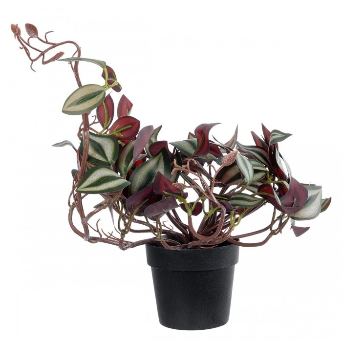 GloboStar® Artificial Garden ZEBRINA PLANT 20961 Διακοσμητικό Φυτό Ζεμπρίνα Φ45 x Υ22cm GloboStar® Artificial Garden ZEBRINA PLANT 20961 Διακοσμητικό Φυτό Ζεμπρίνα Φ45 x Υ22cm