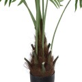 GloboStar® Artificial Garden SERENOA PALM PLANT 20972 Διακοσμητικό Φυτό Φοίνικα Σερενόα Φ103 x Υ180cm