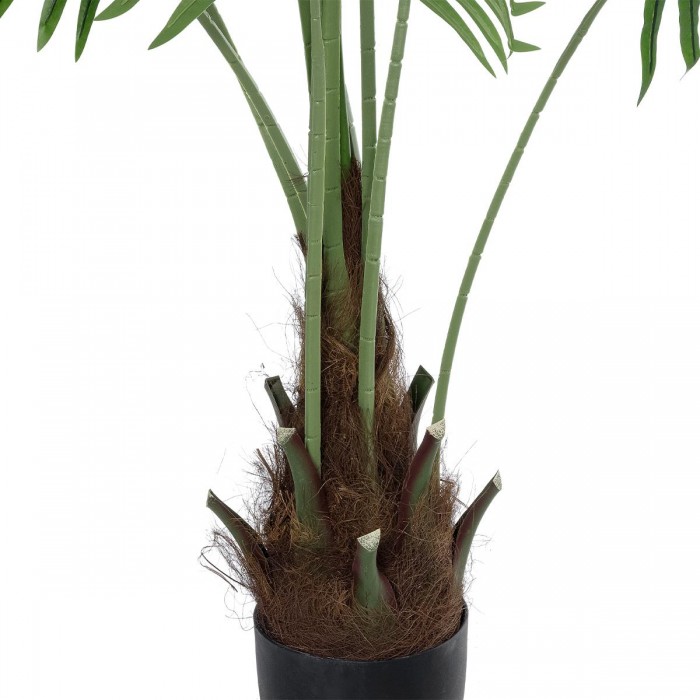 GloboStar® Artificial Garden SERENOA PALM PLANT 20972 Διακοσμητικό Φυτό Φοίνικα Σερενόα Φ103 x Υ180cm