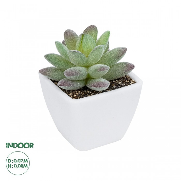 GloboStar® Artificial Garden SUCCULENT SEDEVERIA POTTED PLANT 20975 Διακοσμητικό Φυτό Φοίνικα Σερενόα Φ7 x Υ8cm GloboStar® Artificial Garden SUCCULENT SEDEVERIA POTTED PLANT 20975 Διακοσμητικό Φυτό Φοίνικα Σερενόα Φ7 x Υ8cm