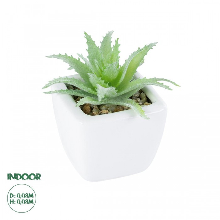 GloboStar® Artificial Garden SUCCULENT ALOE LOTUS 20976 Διακοσμητικό Φυτό Παχύφυτο Λωτός Αλόης Υ8cm GloboStar® Artificial Garden SUCCULENT ALOE LOTUS 20976 Διακοσμητικό Φυτό Παχύφυτο Λωτός Αλόης Υ8cm