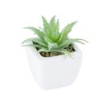 GloboStar® Artificial Garden SUCCULENT ALOE LOTUS 20976 Διακοσμητικό Φυτό Παχύφυτο Λωτός Αλόης Υ8cm