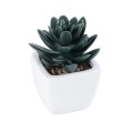 GloboStar® Artificial Garden SUCCULENT SEDEVERIA 20977 Διακοσμητικό Φυτό Παχύφυτο Σεντεβέρια Υ9cm