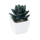 GloboStar® Artificial Garden SUCCULENT SEDEVERIA 20977 Διακοσμητικό Φυτό Παχύφυτο Σεντεβέρια Υ9cm