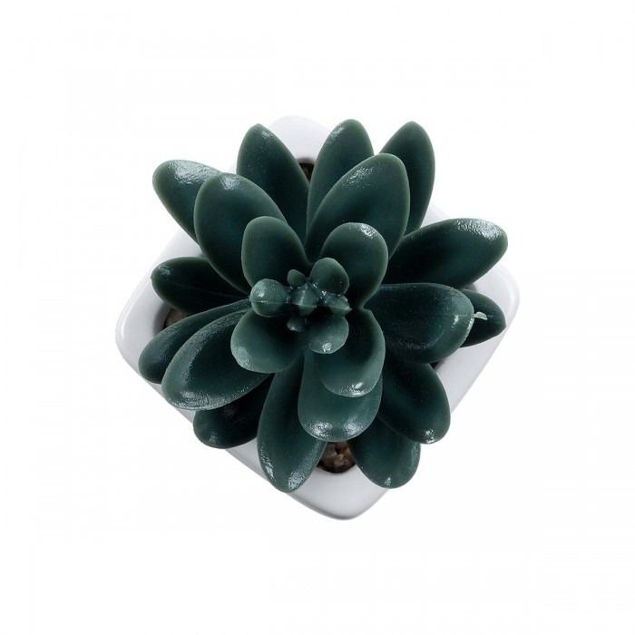 GloboStar® Artificial Garden SUCCULENT SEDEVERIA 20977 Διακοσμητικό Φυτό Παχύφυτο Σεντεβέρια Υ9cm