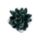GloboStar® Artificial Garden SUCCULENT SEDEVERIA 20977 Διακοσμητικό Φυτό Παχύφυτο Σεντεβέρια Υ9cm