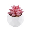 GloboStar® Artificial Garden SUCCULENT SEDEVERIA 20981 Διακοσμητικό Φυτό Παχύφυτο Σεντεβέρια Υ8cm