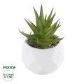 GloboStar® Artificial Garden SUCCULENT ALOE 20982 Διακοσμητικό Φυτό Παχύφυτο Αλόη Υ11cm