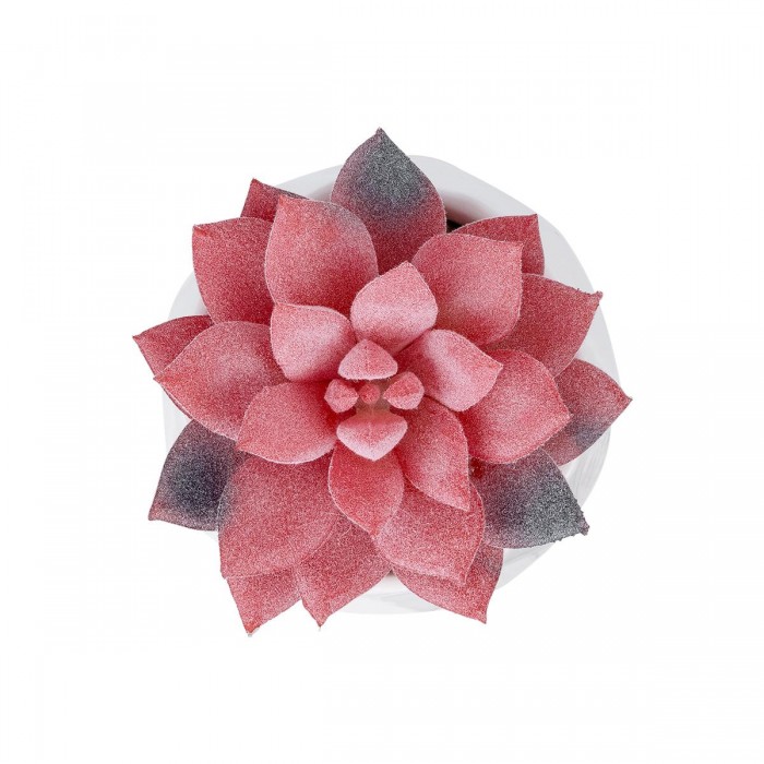 GloboStar® Artificial Garden SUCCULENT SEDEVERIA POTTED PLANT 20989 Διακοσμητικό Φυτό Σεδεβέρια Φ6,5 x Υ8cm