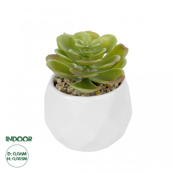 GloboStar® Artificial Garden SUCCULENT ECHEVERIA POTTED PLANT 20991 Διακοσμητικό Φυτό Εχεβέρια Φ6 x Υ8,5cm GloboStar® Artificial Garden SUCCULENT ECHEVERIA POTTED PLANT 20991 Διακοσμητικό Φυτό Εχεβέρια Φ6 x Υ8,5cm
