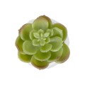 GloboStar® Artificial Garden SUCCULENT ECHEVERIA POTTED PLANT 20991 Διακοσμητικό Φυτό Εχεβέρια Φ6 x Υ8,5cm
