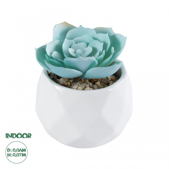 GloboStar® Artificial Garden SUCCULENT ECHEVERIA 20996 Διακοσμητικό Φυτό Παχύφυτο Εχεβέρια Υ7cm GloboStar® Artificial Garden SUCCULENT ECHEVERIA 20996 Διακοσμητικό Φυτό Παχύφυτο Εχεβέρια Υ7cm
