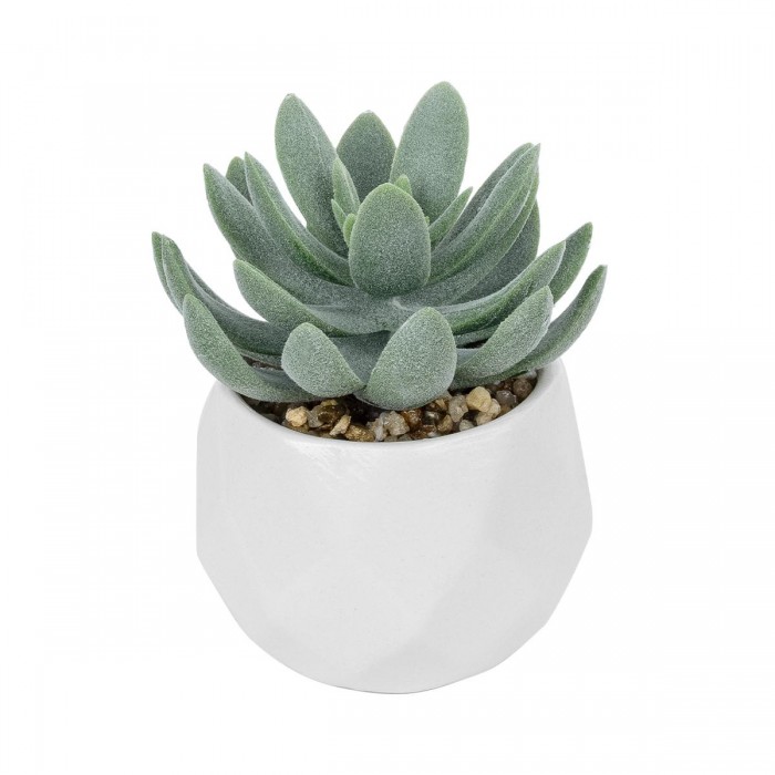 GloboStar® Artificial Garden SUCCULENT SEDEVERIA POTTED PLANT 20998 Διακοσμητικό Φυτό Σεδεβέρια  Φ7 x Υ9cm