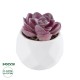 GloboStar® Artificial Garden SUCCULENT ECHEVERIA 21000 Διακοσμητικό Φυτό Παχύφυτο Εχεβέρια Υ7.5cm
