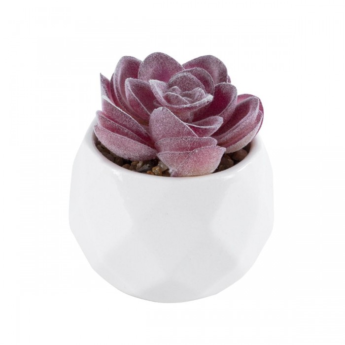 GloboStar® Artificial Garden SUCCULENT ECHEVERIA 21000 Διακοσμητικό Φυτό Παχύφυτο Εχεβέρια Υ7.5cm