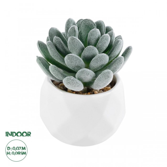 GloboStar® Artificial Garden SUCCULENT SEDEVERIA 21001 Διακοσμητικό Φυτό Παχύφυτο Σεντεβέρια Υ9.5cm GloboStar® Artificial Garden SUCCULENT SEDEVERIA 21001 Διακοσμητικό Φυτό Παχύφυτο Σεντεβέρια Υ9.5cm