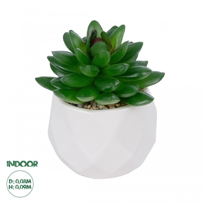 GloboStar® Artificial Garden SUCCULENT SEDEVERIA POTTED PLANT 21002 Διακοσμητικό Φυτό Σεδεβέρια Φ8 x Υ9cm GloboStar® Artificial Garden SUCCULENT SEDEVERIA POTTED PLANT 21002 Διακοσμητικό Φυτό Σεδεβέρια Φ8 x Υ9cm