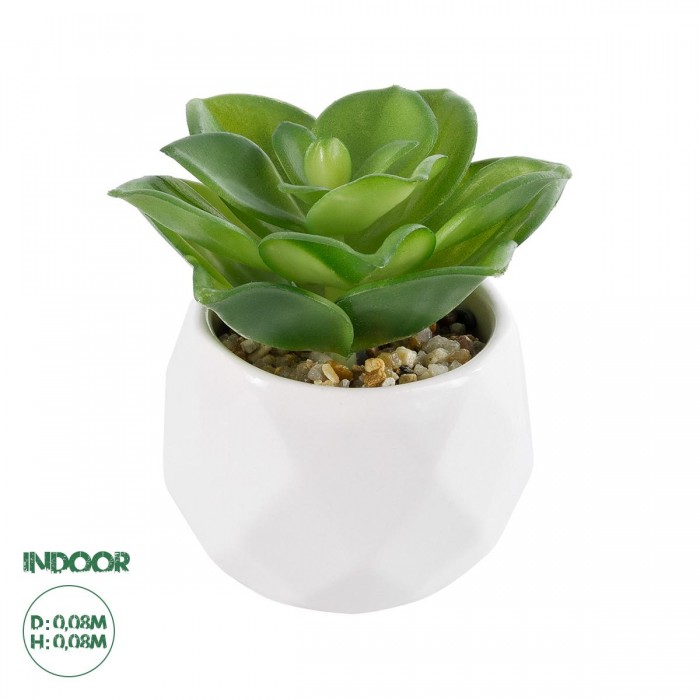 GloboStar® Artificial Garden SUCCULENT ECHEVERIA 21003 Διακοσμητικό Φυτό Παχύφυτο Εχεβέρια Υ8cm GloboStar® Artificial Garden SUCCULENT ECHEVERIA 21003 Διακοσμητικό Φυτό Παχύφυτο Εχεβέρια Υ8cm