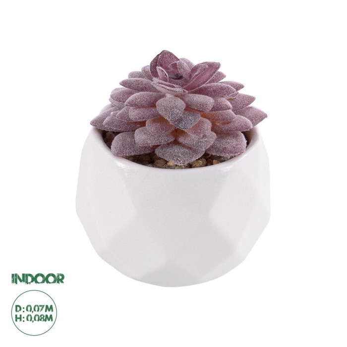 GloboStar® Artificial Garden SUCCULENT SEDEVERIA 21005 Διακοσμητικό Φυτό Παχύφυτο Σεντεβέρια Υ8cm GloboStar® Artificial Garden SUCCULENT SEDEVERIA 21005 Διακοσμητικό Φυτό Παχύφυτο Σεντεβέρια Υ8cm