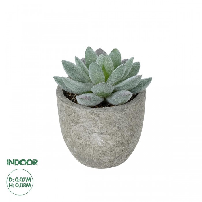 GloboStar® Artificial Garden SUCCULENT SEDEVERIA POTTED PLANT 21016 Διακοσμητικό Φυτό Σεδεβέρια Φ7 x Υ8cm GloboStar® Artificial Garden SUCCULENT SEDEVERIA POTTED PLANT 21016 Διακοσμητικό Φυτό Σεδεβέρια Φ7 x Υ8cm