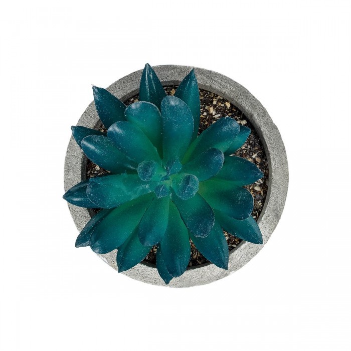 GloboStar® Artificial Garden SUCCULENT SEDEVERIA POTTED PLANT 21018 Διακοσμητικό Φυτό Σεδεβέρια  Φ6,5 x Υ9cm