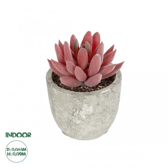 GloboStar® Artificial Garden SUCCULENT SEDEVERIA 21020 Τεχνητό Διακοσμητικό Φυτό Σεδεβέρια Μ6.5 x Π6.5 x Υ9cm GloboStar® Artificial Garden SUCCULENT SEDEVERIA 21020 Τεχνητό Διακοσμητικό Φυτό Σεδεβέρια Μ6.5 x Π6.5 x Υ9cm