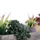 GloboStar® Artificial Garden SUCCULENT VARIUS PLANT POTTED 21033 Διακοσμητικό Φυτό Μίξ Μ29 x Π10 x Υ18cm